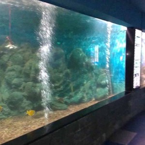 Lastra Acrilica per Acquario di Acqua Salata, Varie Dimensioni, Capacità <span class=keywords><strong>500</strong></span> Galloni - Product Image 4