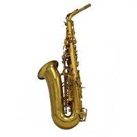 Eastern Music Brand Popular Grade High Quality Entry Level Gold Lacquer Brass Body Eb Alto Saxophone Student Model Easy Play