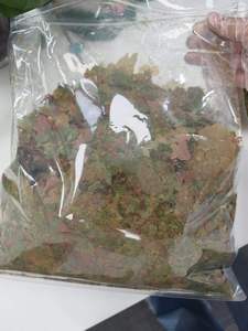 อาหารปลาแบบเกล็ดสามสี เหมาะสำหรับเพิ่มสีสันและส่<span class=keywords><strong>ง</strong></span>เสริมการเจริญเติบโตของปลาเขตร้อน - Product Image 4