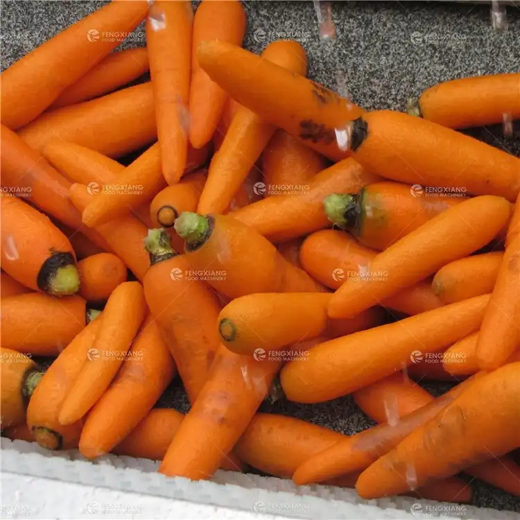 Frutas verduras zanahoria de jengibre lavadora máquina de pelar mandioca máquina peladora