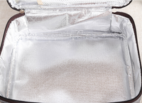 Mini-sac de pique-nique rechargeable, pour mère homme et bébé, refroidisseur de bouteille, pour déjeuner de voyage