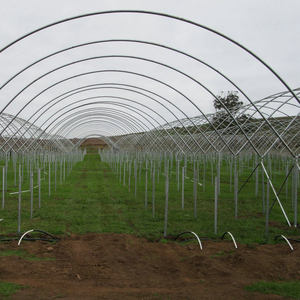 In Inflatable Blueberry <strong>Greenhouse</strong> with <strong>Etfe</strong> <strong>Greenhouse</strong> Film - Product Image 4