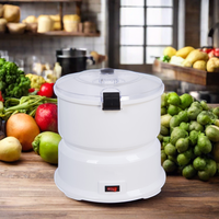Hete Klassieke Automatische Elektrische Huispelmachine Voor Aardappelen Fruit Gemaakt Van Duurzaam Staal Met Gemakkelijke Schilfunctie