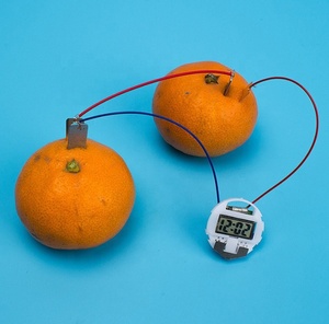 Kit d'expérimentation <span class=keywords><strong>scientifique</strong></span> DIY : Horloge électronique en plastique en forme de fruit, projet STEM pour l'école, <span class=keywords><strong>expérience</strong></span> de batterie de fruit, kit d'éducation physique pour étudiants, âges 5-13 ans - Product Image 5
