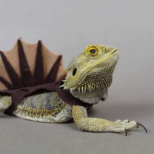 Disfraz de Lagarto Camaleón, <span class=keywords><strong>Ropa</strong></span> Divertida para Mascotas Pequeñas, Accesorio de Fieltro de Dinosaurio - Product Image 2