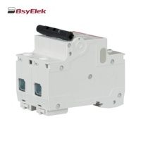 Rail Din personnalisé 1P 2P 3P 4P 80A 100A 125A AC MCB Disjoncteur miniature avec CE approuvé