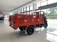Triciclo motorizado de carga de gran tamaño refrigerado por agua de 200cc