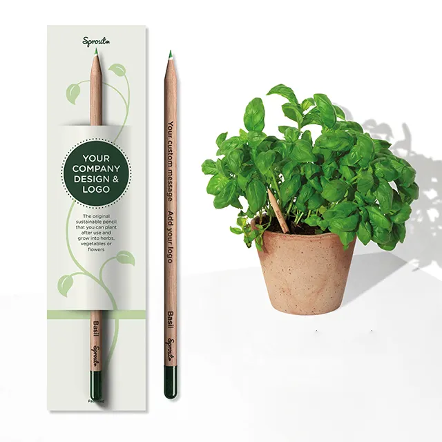 Hijau Kustom Sprout Pensil Warna Basil Terbuat dari Kayu Bersertifikat Plantable Pencil Hadiah Bisnis