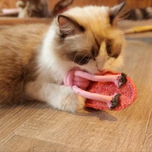 Venta al por mayor de esponjas naturales personalizadas, juguetes para mascotas, juguetes masticables para gatos, pantuflas con nudo con hierba gatera y campana en el interior de los gatos, alivia el aburrimiento - Product Image 3