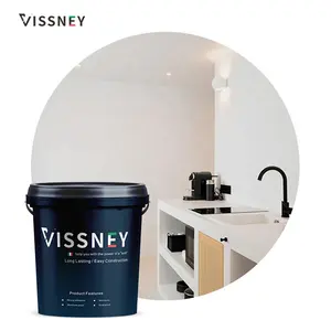 Vissney, водостойкая и устойчивая к пятнам краска для бетона микроцемента, используемая для шифера или поверхности штукатурки