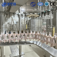 Ligne de traitement de poulet modulaire système entièrement automatisé adapté aux petites et grandes fermes 500- 4000 poulets par heure