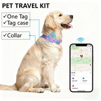 10 balises de suivi GPS pour animaux de compagnie Apple IOS, étanches IP67, en plastique, Smart Air Tag, batterie longue durée 1 an, collier et ensemble de voyage pour chiens et chats
