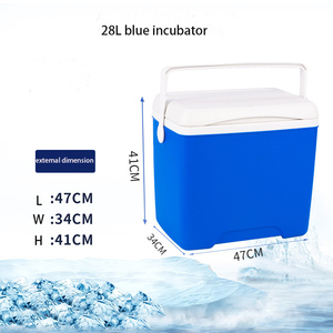 Cắm Trại Trong Hộp Băng Hoang Dã - Product Image 2