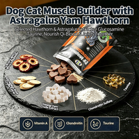 Formule OEM de renforcement musculaire pour chiens : BCAA, L-Carnitine, Chondroïtine – Supplément de performance pour chiens de travail, de police et de chasse – Direct Usine