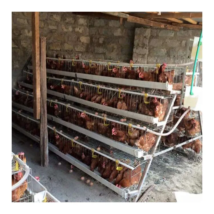 Hot Sale Geflügelfarm Legehennen jetzt Schicht Batterie Hühner käfig