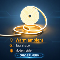 Bande lumineuse LED transfrontalière 12V 5x11 flexible néon monochrome PVC IP67 6x12 en silicone pour éclairage décoratif d'ambiance