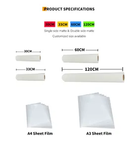 कम तापमान हॉट रिलीज 30X100 33 60 सेमी 60 सेमी रोल ग्लॉसी ए4 ए3 पीईटी डीटीएफ प्रिंटर ट्रांसफर फिल्म शीट पेपर शिप करने के लिए तैयार