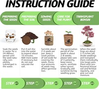 Kit de plantation d'arbres bonsaïs écologiques avec un design mignon et un kit de démarrage pour une utilisation à domicile, cadeau DIY pour adultes