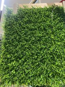 <span class=keywords><strong>Césped</strong></span> <span class=keywords><strong>Artificial</strong></span> para Golf, Simulación <span class=keywords><strong>de</strong></span> <span class=keywords><strong>Césped</strong></span> Rizado Verde para Interiores y Exteriores - Product Image 1