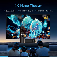 Nuevo TV Stick MX10-F3 de Alto Rendimiento, Allwinner H313 Quad Core 2/16gb, 2.4/5GB, BT5.0 y 4K TV Dangle