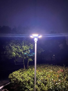 LED de <span class=keywords><strong>calle</strong></span> con energía Solar para exteriores para Proyecto de <span class=keywords><strong>parque</strong></span> de granja 30W 40W lámpara de <span class=keywords><strong>calle</strong></span> solar integrada para matar mosquitos e insectos al aire libre - Product Image 3