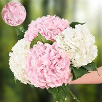 IC9005 Hydrangeas artificiels populaires, vente directe d'usine, DIY, colorés, pour Noël, toucher réel, 50 cm