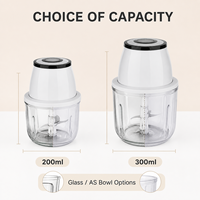 Mini hachoir alimentaire portable rechargeable 200ml/300ml avec bol en verre ou en AS, 3 lames SUS304, coupe-ail et légumes électrique USB