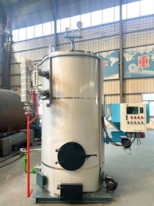 Chaudière compacte de 100 kg à 1500 kg pour ferme de culture de champignons, générateur de vapeur à granulés de bois pour <span class=keywords><strong>chauffage</strong></span> <span class=keywords><strong>central</strong></span> domestique - Product Image 5