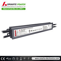 Gabinete lineal de aluminio a prueba de agua Transformador Led Corriente constante 700mA Inteligente DALI-2 PUSH Controlador Led regulable 20W