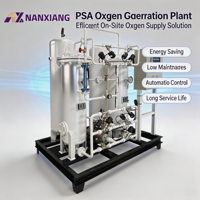 Nanxiang 10Nm³/h Pressure Oxygen Generator Industrial Oxygen Production Plant Oxygen Making Machine for Oxygen Supply