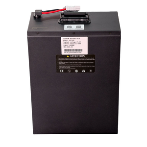 Batterie LiFePO4 au lithium de haute qualité, 2000+ cycles, 72V 40Ah, économique pour le stockage solaire - Product Image 3