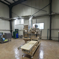 Machine à nouilles automatique multifonctionnelle en acier inoxydable 304, extrudeuse commerciale haute capacité pour spaghetti et vermicelles de riz