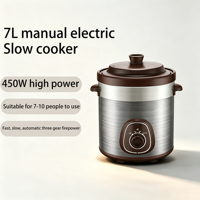 Marmite Électrique en Céramique pour Soupe et Congé, Usage Commercial et Domestique, Vente en Gros