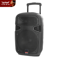 Mini haut-parleur de voiture, meilleur système multimédia DJ électronique, livraison gratuite, tour unique de 8 pouces, BT sans fil, TWS, audio acoustique, haut-parleur puissant