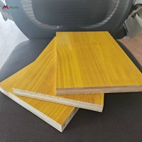 Encofrado de Construcción, Panel de 3 Capas para Encofrado, Panel Tricapa para Construcción Estructural