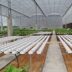 Sistema Idroponico Verticale NFT per Serre Agricole Interne ed Esterne per Coltivatori Commerciali di Lattuga - Product Image 4