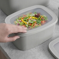 Lot de 2 boîtes de rangement verticales à rayures, hermétiques, pour conserver les aliments frais, pour réfrigérateur, pique-nique, préparation de repas