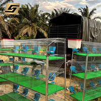 Vente de cages à lapins doubles galvanisées pour l'élevage industriel de lapins, cages à lapins galvanisées pour l'élevage