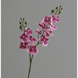Venta al por Mayor de Fábrica: Orquídea Phalaenopsis Artificial de 2 Ramas con Tacto Realista para Arreglos Florales y Decoración del Hogar - Product Image 1