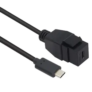 Accesorios industriales diarios USB 3,1 USB C macho a tipo C hembra adaptador de inserción de montaje en Panel para cable de placa frontal de enchufe de pared