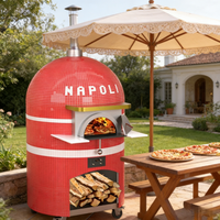 Four à pizza rotatif au gaz commercial avec plateau en pierre pour les opérations de restauration à fort volume