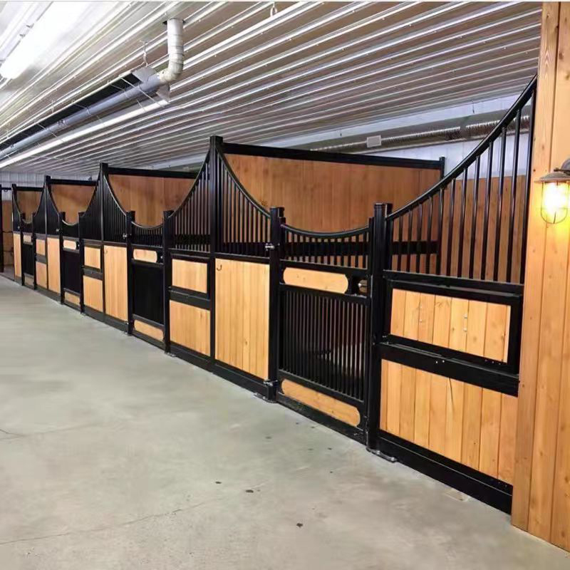 Equestrian Barns European Style Fancy Horse