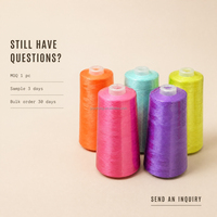 Fil à broder en acrylique pelucheux 24S 2 brins 600 couleurs 3000 yards Point éponge Chenille Vente en gros OEM