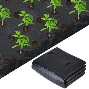 Vải phủ đất nông nghiệp màu đen hình vuông bằng nhựa, có lỗ trồng cây, dùng để ngăn cỏ dại cho cây táo - Product Image 3