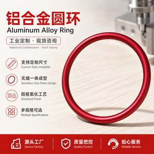Aluminum Alloy Circular <b>Ring</b> 6063 Powder Coated Custom <b>Size</b> Multipurpose - Product Image 5