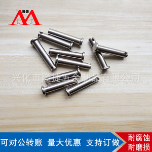 Goupilles cylindriques à tête plate Longjie en acier inoxydable 304 M3 M4 avec trous, norme GB882, finition brillante - Product Image 5