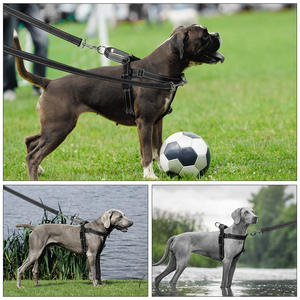 Harness Anjing yang Dapat Disesuaikan, Lembut, Nyaman, Kontrol, Desain untuk 2 Anjing, Bebas, Tanpa Tarik - Product Image 5