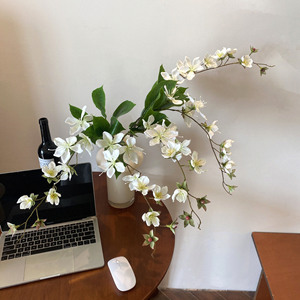 Fleurs artificielles de jasmin et de bégonia, tige unique, fleur en soie réaliste, décoration intérieure pour la maison - Product Image 3