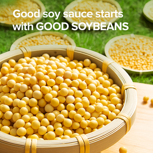 Самый продаваемый в мире бренд соевого соуса | Хадай темный соевый соус Халяль сертифицирован | Китайский Соевый Соус-оптом - Product Image 4