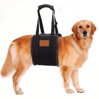 Attelle de Genou pour Chien Cruciate Care – Harnais de Soutien Simple en Néoprène Durable et Respirant pour L'Articulation Croisée du Genou (ACL) Abîmée de la Patte Arrière